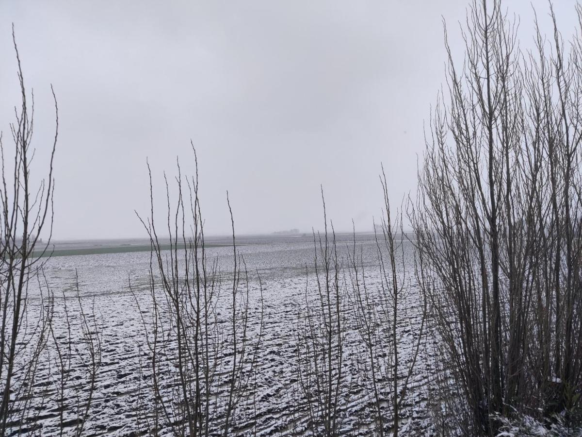 Vakantiehuis De Maretak Vlakbij Brugge & De Kust Meetkerke Екстериор снимка